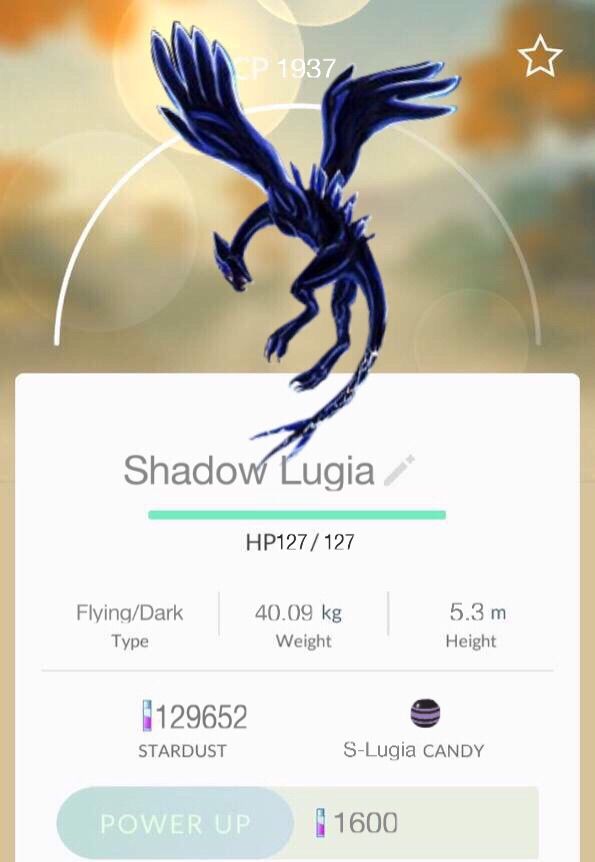 Shadow Lugia?! Pokemon GO Amino