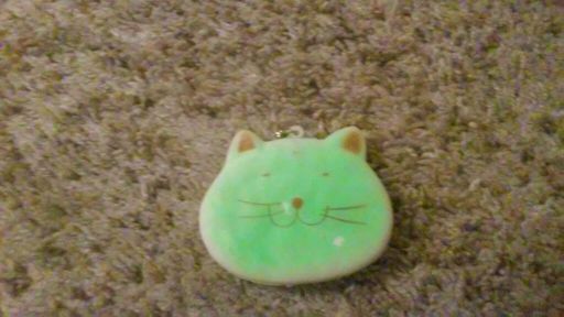 Green Fat Cat Squishy | Wiki | Squishy Love Amino