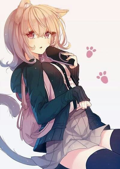 Neko Wiki Anime Amino 2755