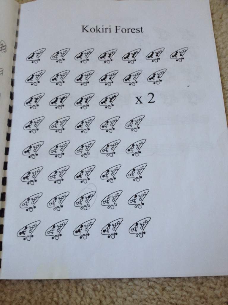 Legend of Zelda songs for Ocarina, Recorder, and Piano. Zelda Amino