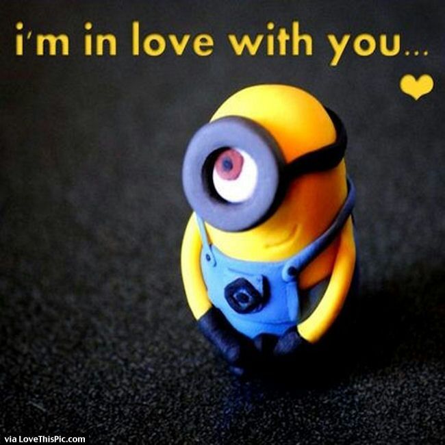 Sexy minions quotes | K-Pop Amino