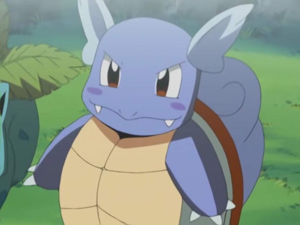 Wartortle | Wiki | Pokemon GO Amino