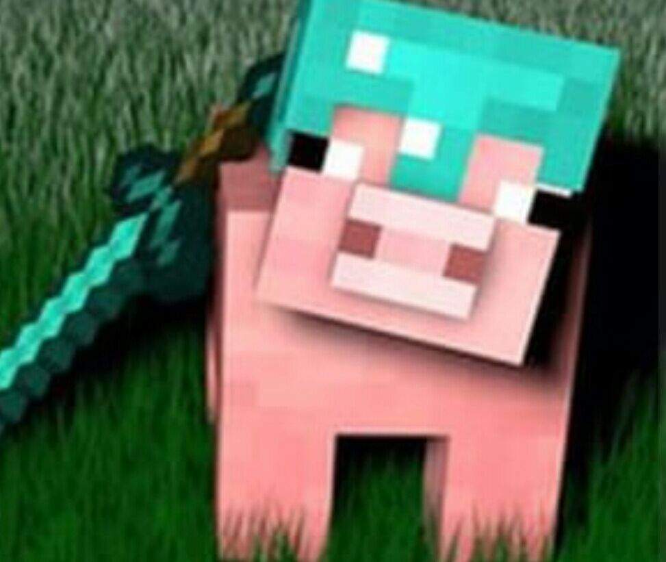 Mc pig | Wiki | Minecraft Amino