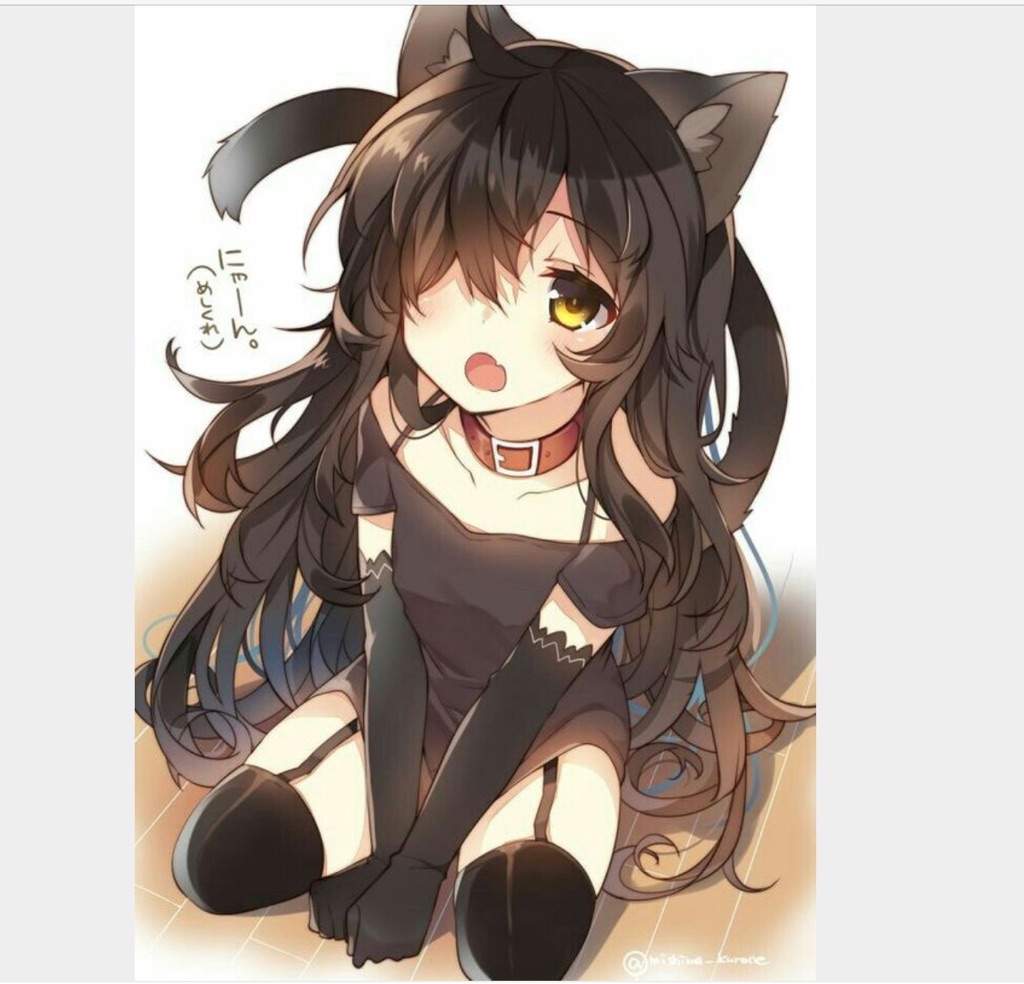 Kawaii kitty anime girl LOl 😁 | Anime Amino