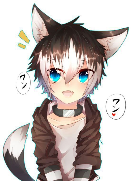 Hola amigos Guau Guau | •Anime• Amino