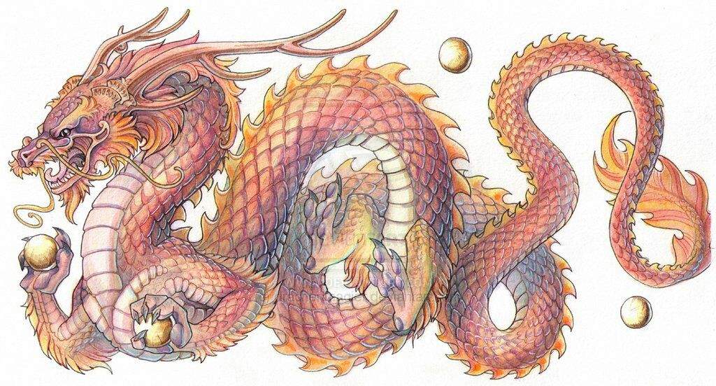 Korean Dragon '용/룡 (미르) Yong/Ryong (Mireu)' Mythology & Cultures Amino