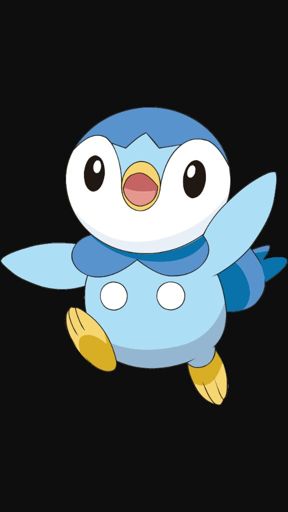 Piplup | Wiki | Pokémon Amino