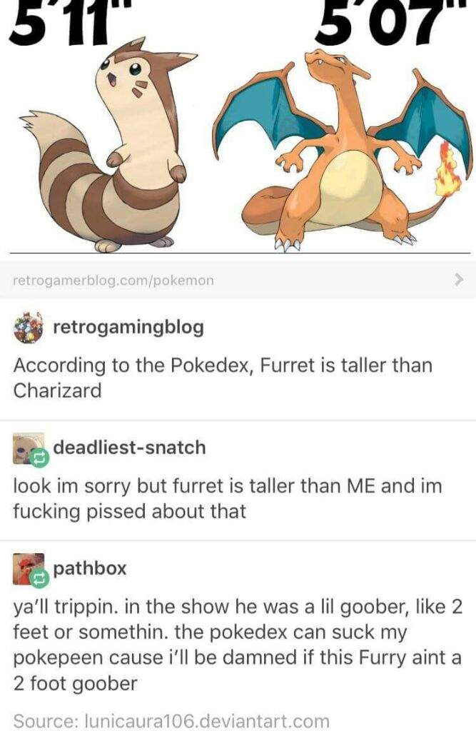 pokemon furret size