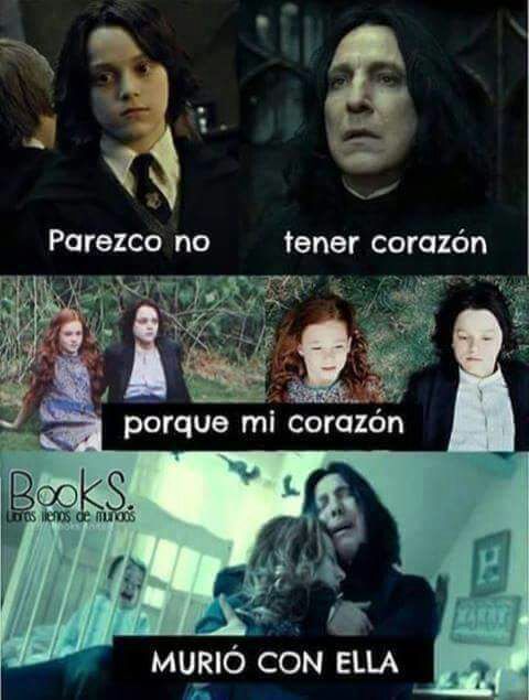 Amor De Snape 