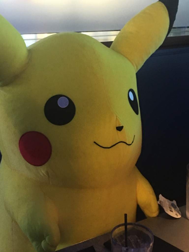 giant pikachu plush dave and busters