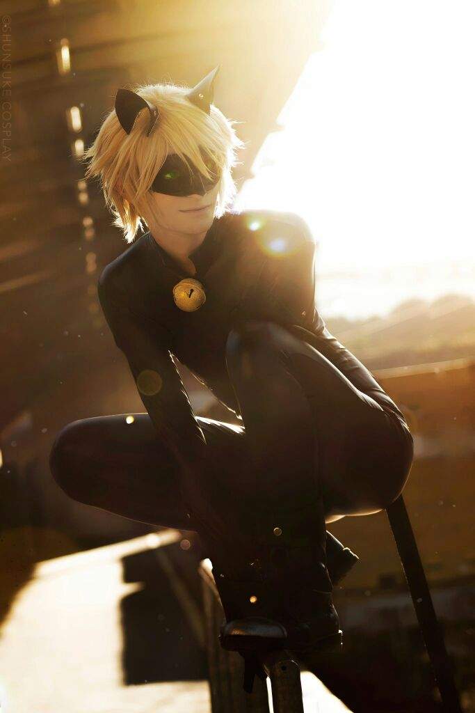 Sexy Chat Noir •miraculous Ladybug Español• Amino 0066