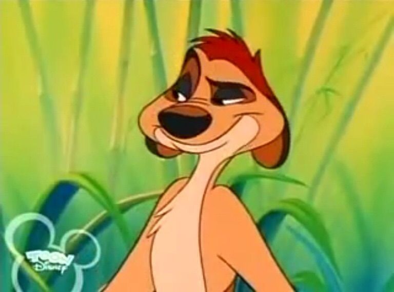 timon and pumbaa disney traditions
