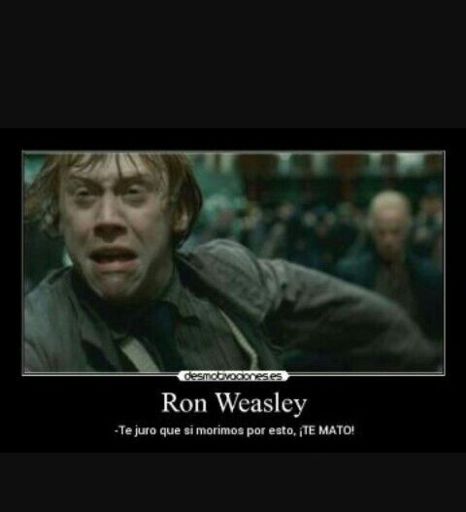 Frases celebres de Ron Weasley | •Harry Potter• Español Amino
