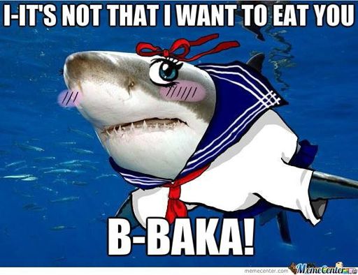 La tiburón más kawaii del mundo 7u7 | •Anime• Amino