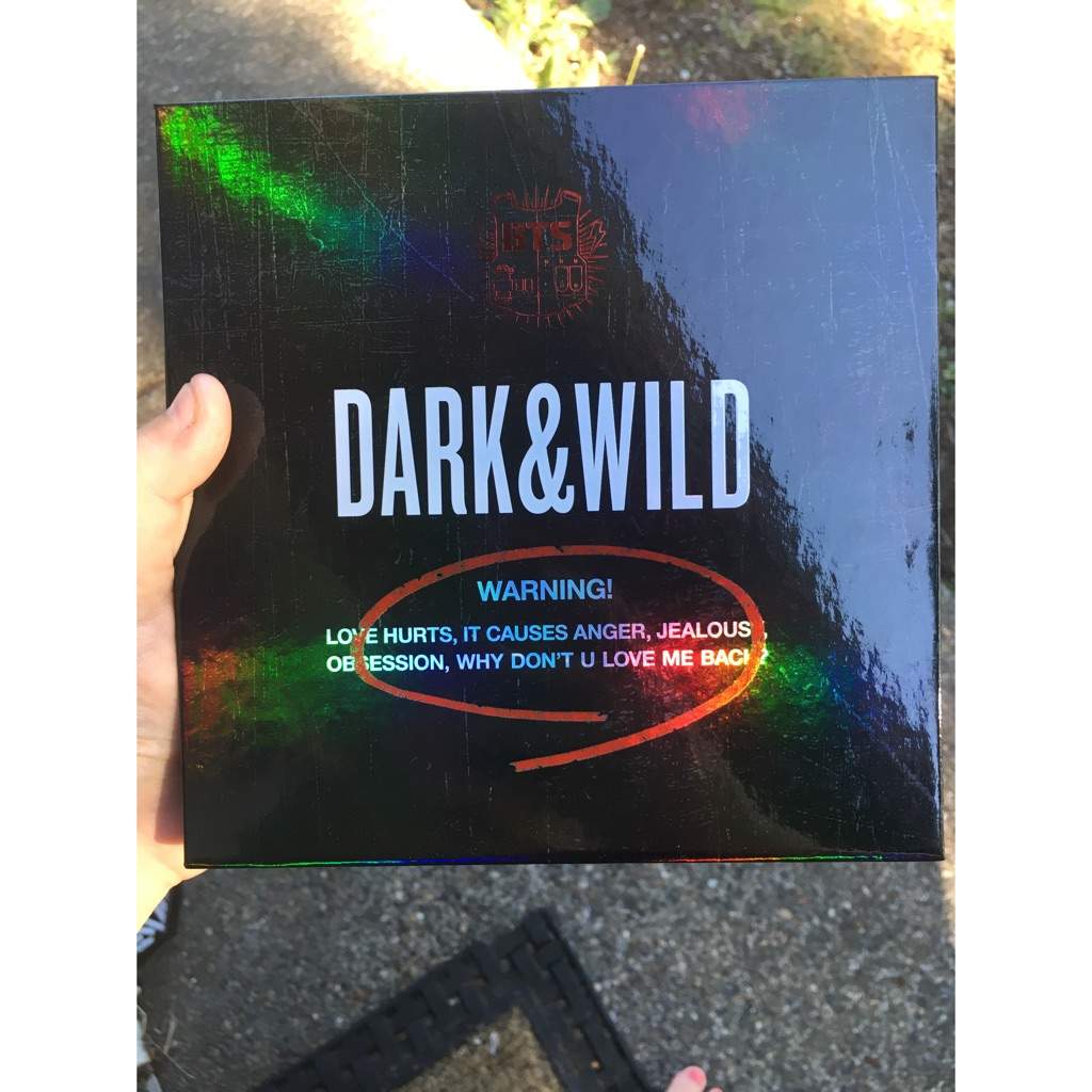 bts dark and wild album art