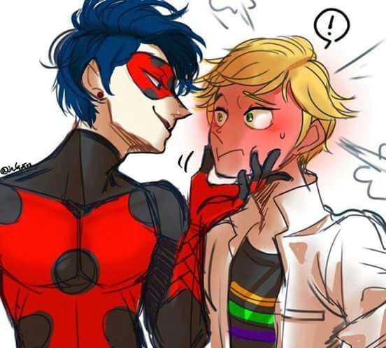 Marin Ladybeetle X Adrien Chat Noir Miraculous