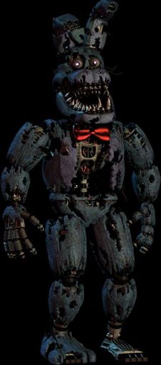 Naimer boni | Wiki | Five Nights At Freddy's Amino