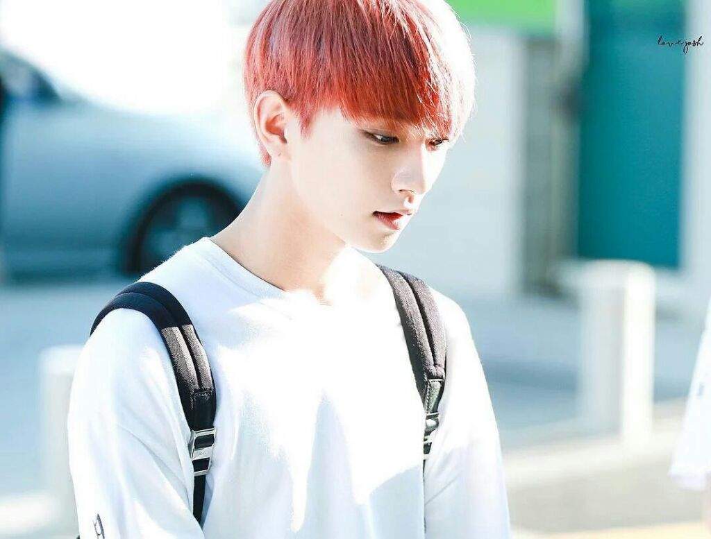 joshua hong jisoo k pop amino joshua hong jisoo k pop amino