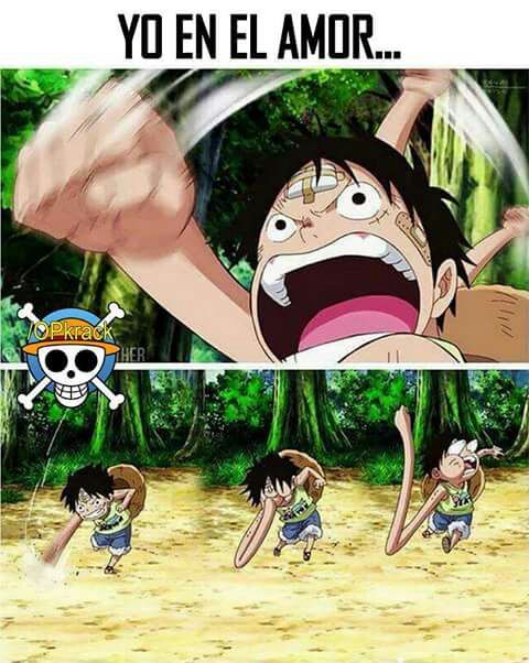 Mi vida en una imagen | One Piece Amino