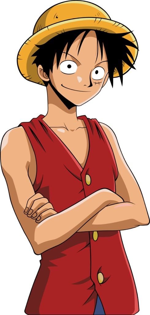 one piece whole body luffy