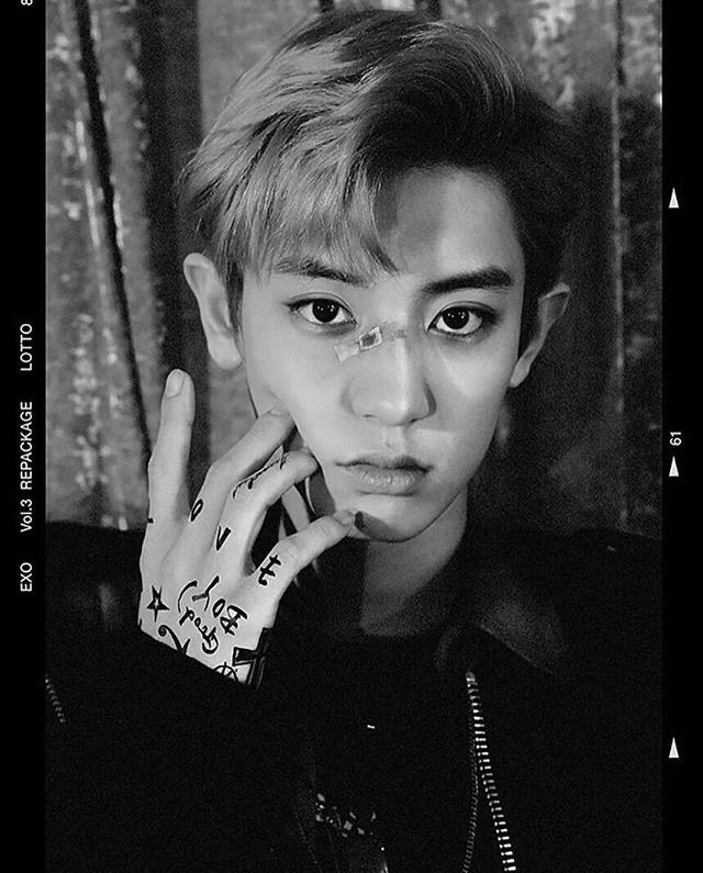 EXO LOTTO MEMBER PHOTOS AND VIDEO TEASER | K-Pop Amino