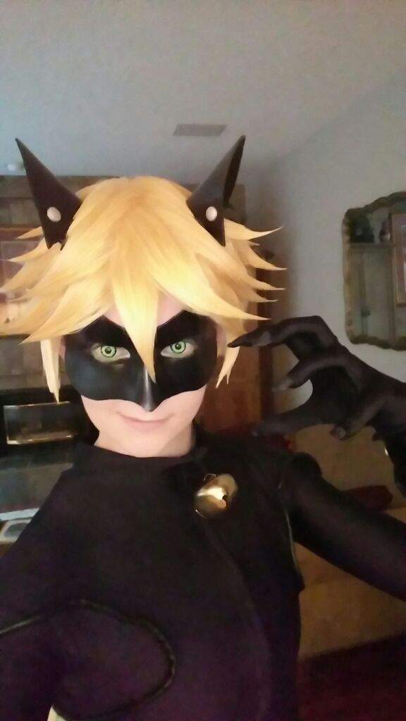 Chat Noir Debut Cosplay Amino