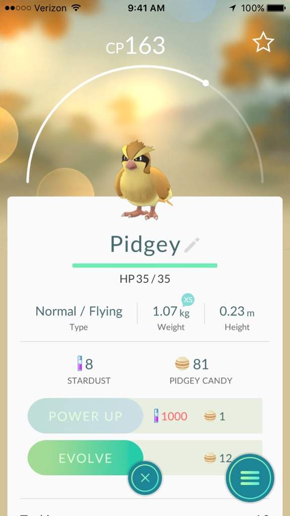 My Xs Pidgey Pokemon Go Amino