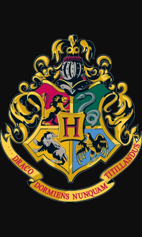 Hogwarts year 2016 student | Wiki | Harry Potter Amino