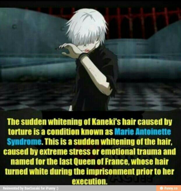 Kaneki From Tokyo Ghoul Anime Amino