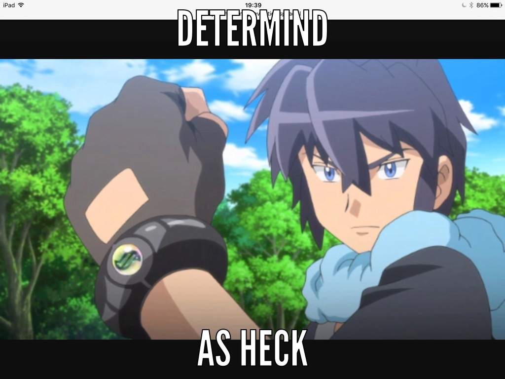 Sir Pugl Pokémon Amino