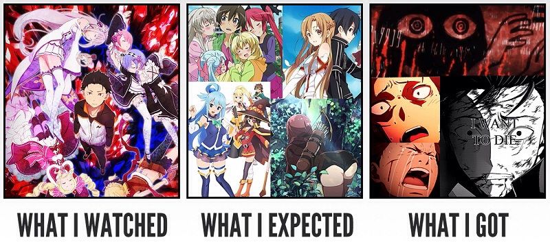 Anime What I Expected What I Got