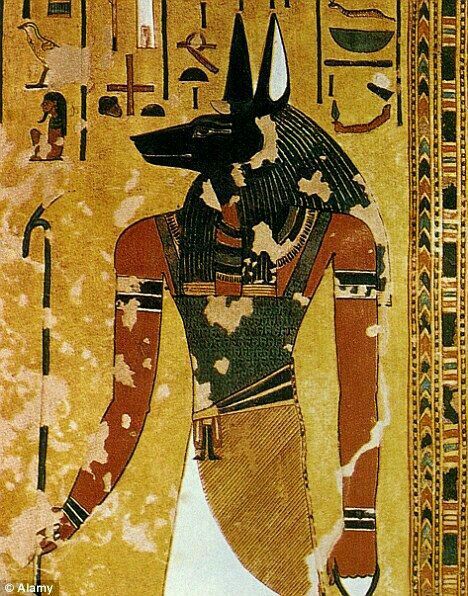 Anubis Mythology And Cultures Amino 
