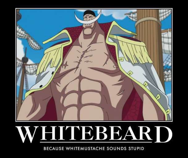 I have always wondered why WhiteBeard had no beard. | One Piece Amino