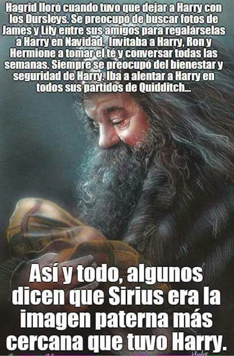 Rubeus Hagrid Wiki •harry Potter• Español Amino