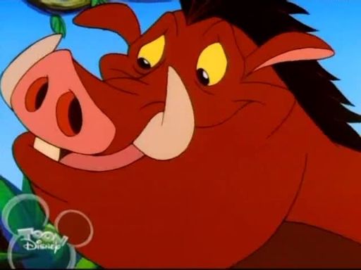 Timon and Pumbaa | Wiki | Disney Amino