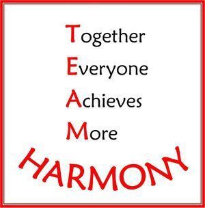 We are T.E.A.M Harmony | Team Harmony. Amino