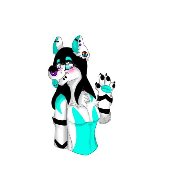 ~💙Icey💙~ | Furry Amino