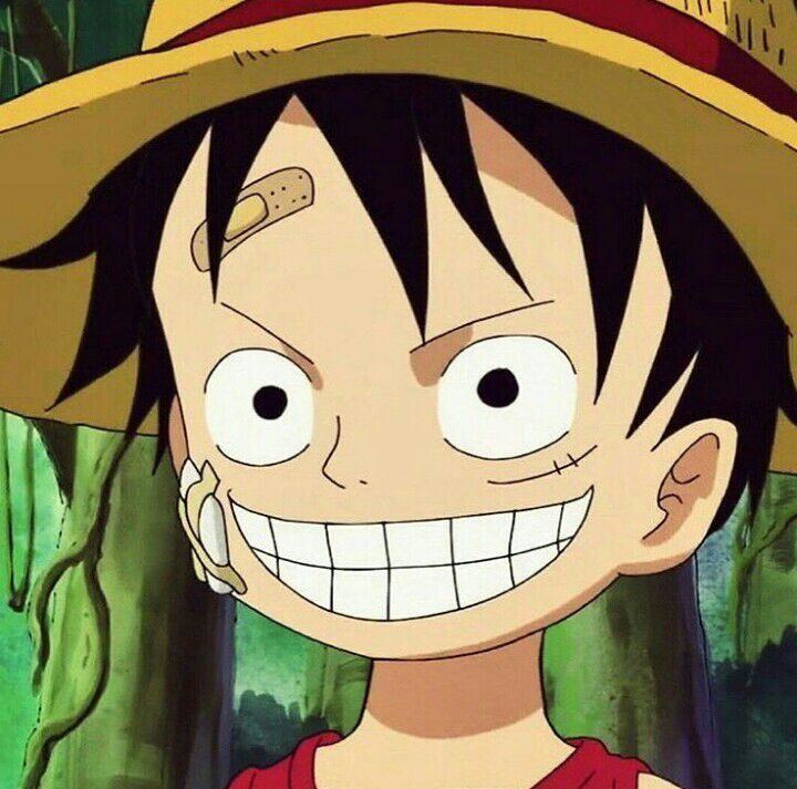 One Piece Child Luffy Black And White Pfp Anime - IMAGESEE