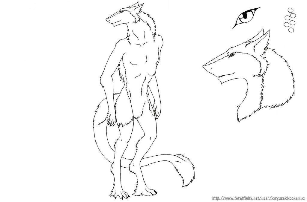 photo Dragon Fursona Ref Sheet Blank free furry references with sources.