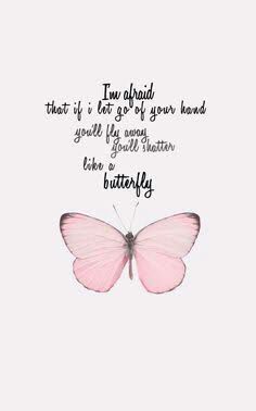Butterfly quotes | ARMY's Amino