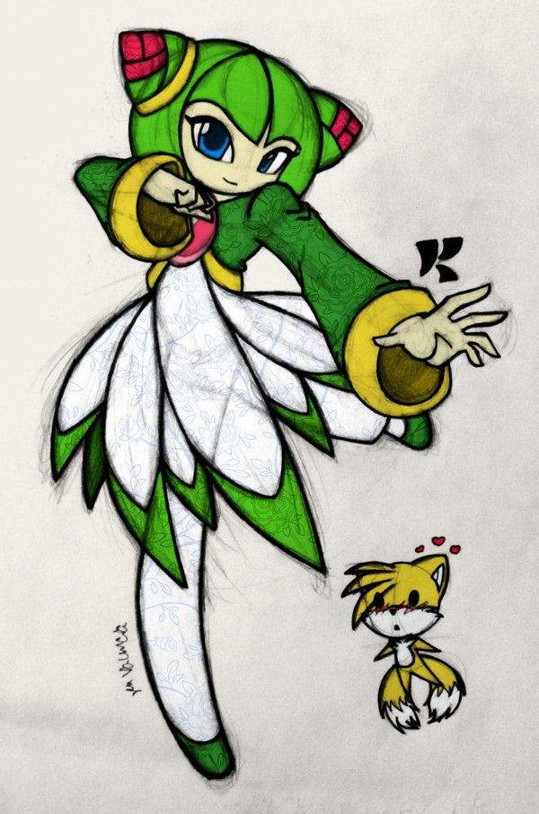 Cosmo The Seedrian Wiki Sonic And Tails Amino