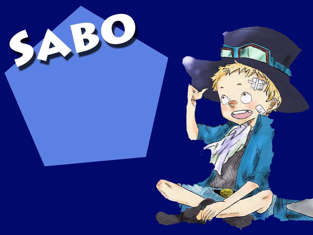 One Piece VS: Law & Sabo! | Anime Amino