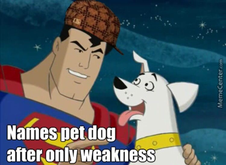 1 WHO REMEMBERS Krypto the super dog Cartoon Amino