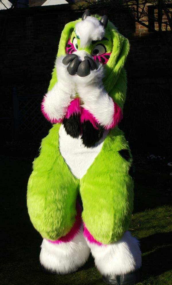 I was thinking about getting a fursuit of my goat Rick | Furry Amino