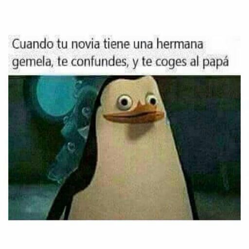 HOLA QUE HACE , SE RIE O QUE HACE | •Meme• Amino