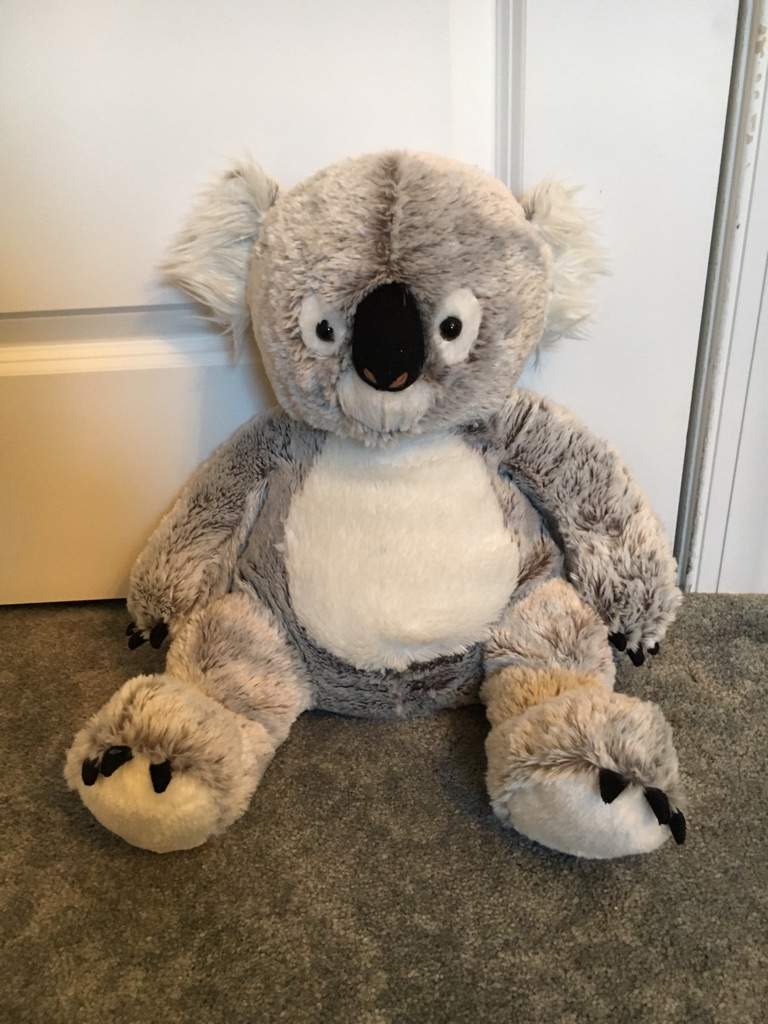 big koala stuffed animal