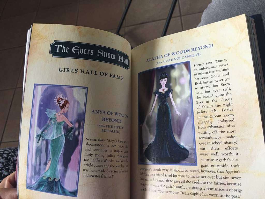 The School For Good And Evil Handbook Books Writing Amino