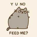 pusheen orange cat