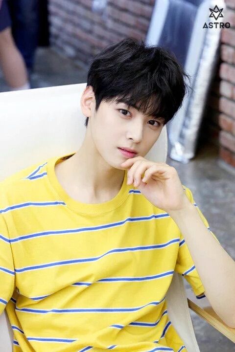 Cha Eun Woo | Wiki | K-Pop Amino