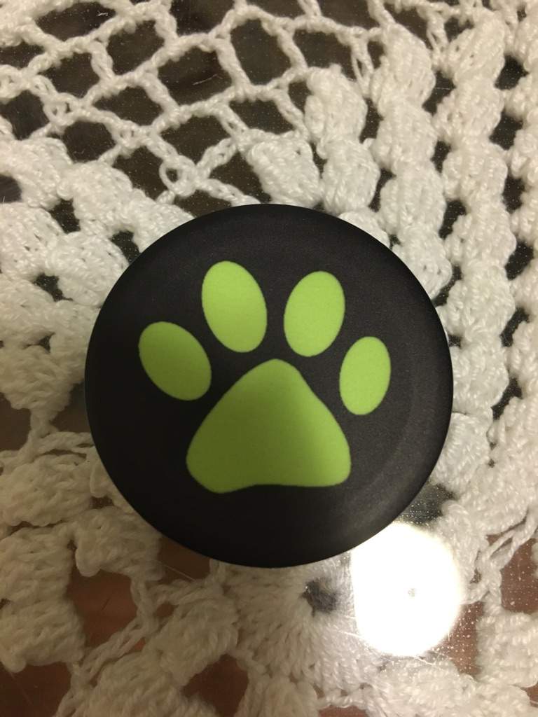 Cat Noir Popsocket Miraculous Amino